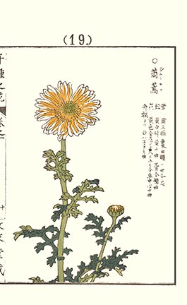 photo19.jpg