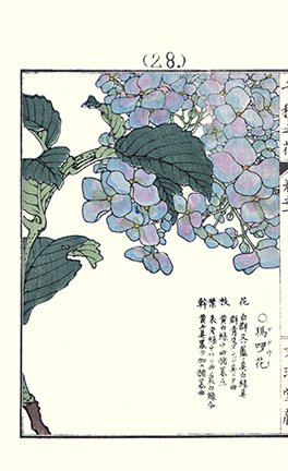 photo28.jpg