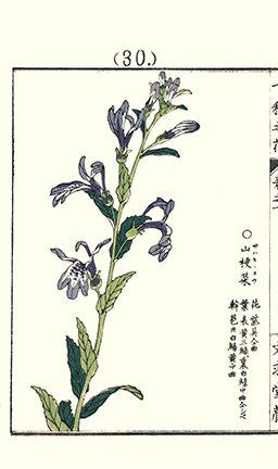 photo30.jpg