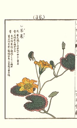 photo35.jpg