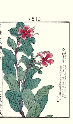 photo49.jpg