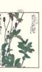 photo54_small.jpg
