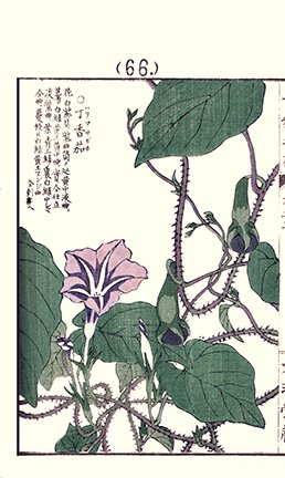 photo61.jpg