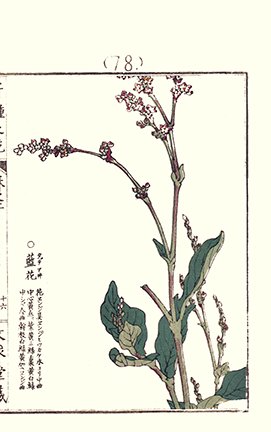 photo71.jpg