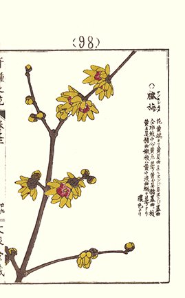 photo87.jpg