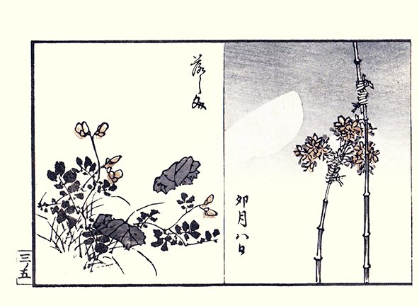 photo17.jpg