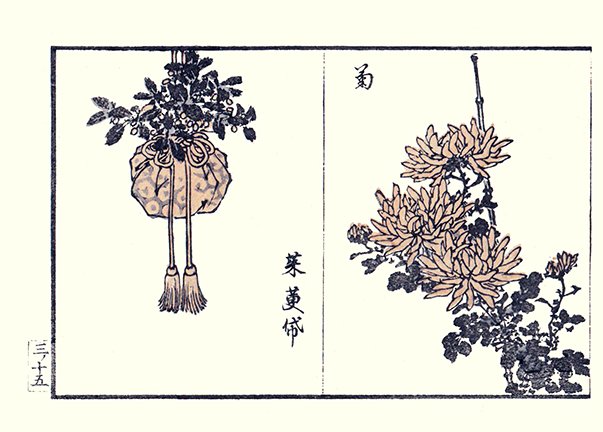 photo22.jpg