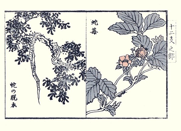 photo29.jpg