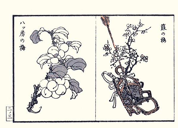 photo9.jpg