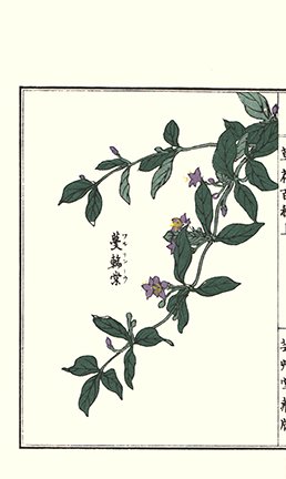 photo103.jpg