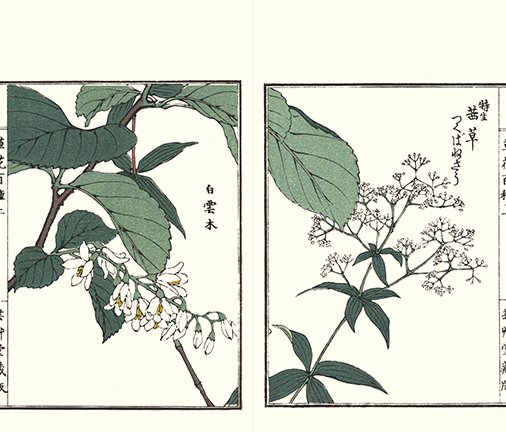 photo20.jpg