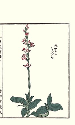 photo25.jpg