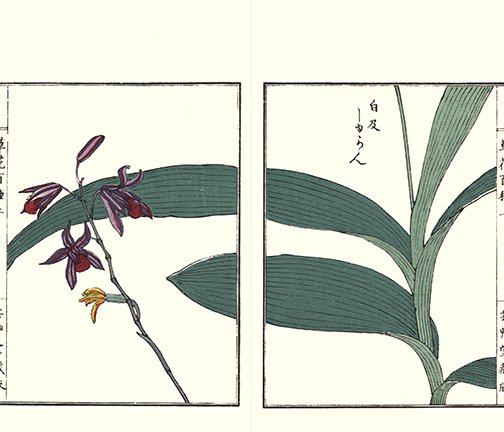 photo26.jpg