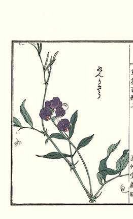 photo29.jpg