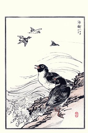 photo19.jpg