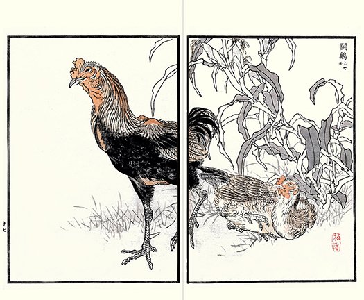 photo24.jpg