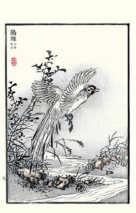 photo39.jpg