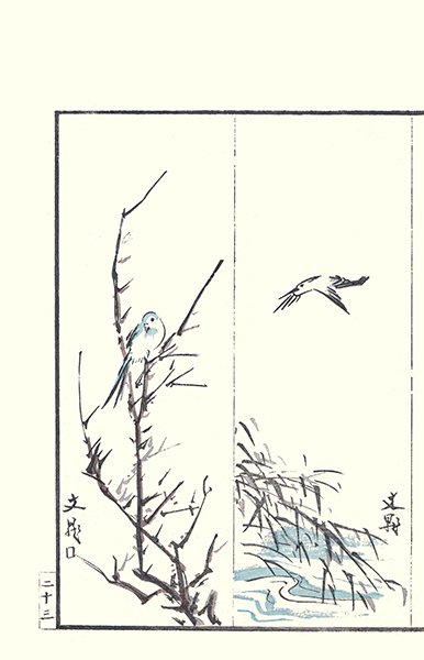 photo16.jpg