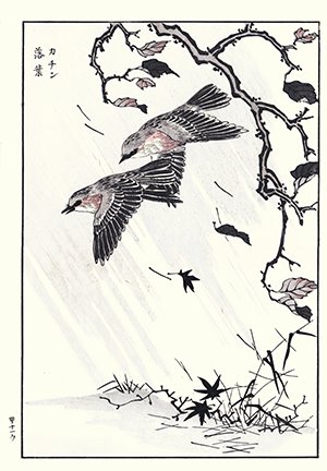 photo21.jpg