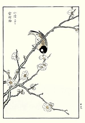 photo44.jpg