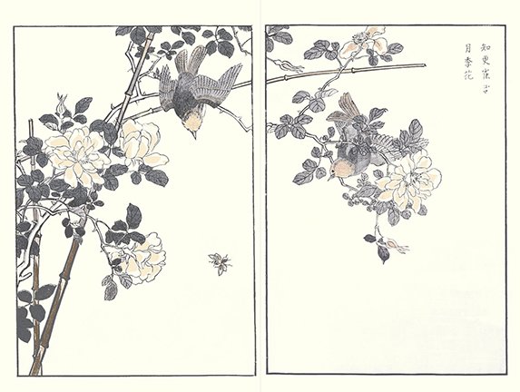 photo45.jpg
