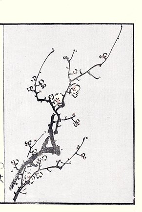 photo11.jpg