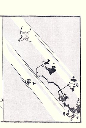 photo5.jpg