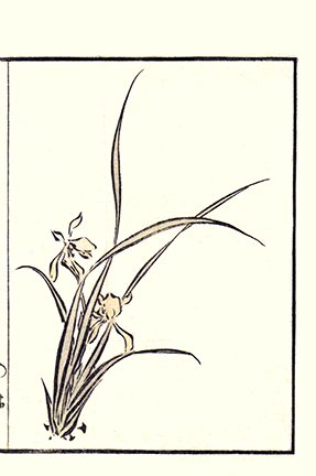 photo9.jpg