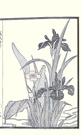 photo6.jpg