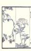 photo7_small.jpg