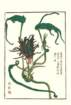 photo10_small.jpg