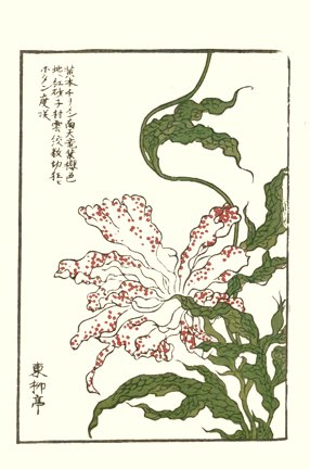 photo11.jpg