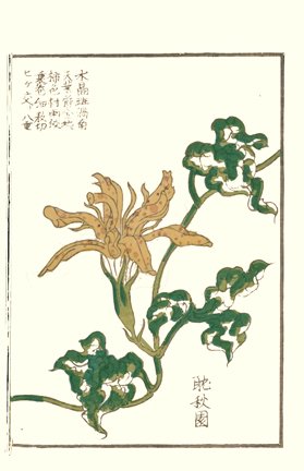 photo16.jpg
