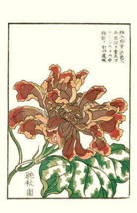 photo23.jpg