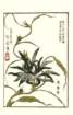 photo24_small.jpg