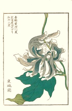 photo6.jpg