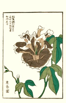 photo8.jpg