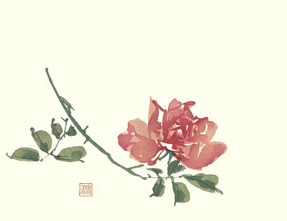 photo20.jpg
