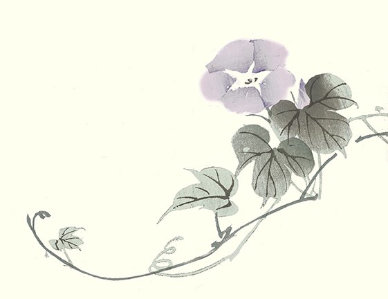 photo21.jpg