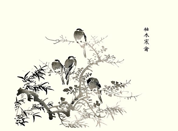 photo11.jpg