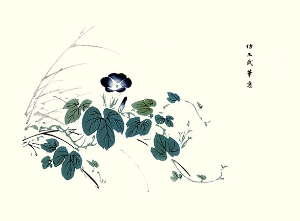 photo17.jpg