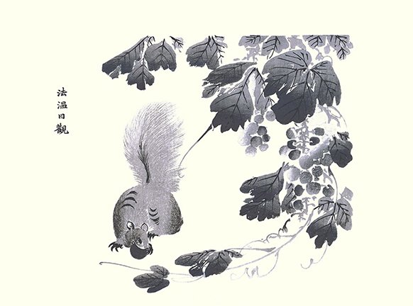 photo20.jpg