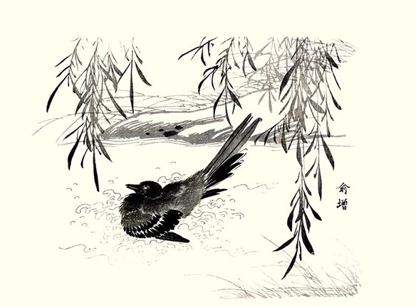 photo9.jpg