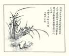 photo3_small.jpg