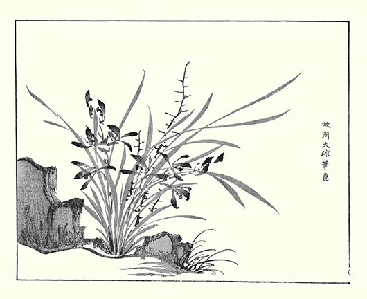 photo4.jpg
