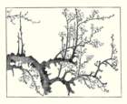 photo5_small.jpg