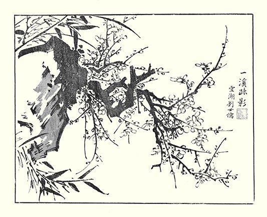 photo7.jpg