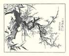 photo7_small.jpg