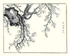 photo9_small.jpg