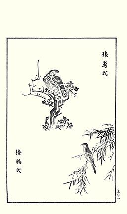 photo21.jpg